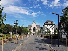 Basilika Allee und Klosterkirche Marienstatt