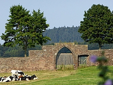 Amelungsborn - Klostermauer